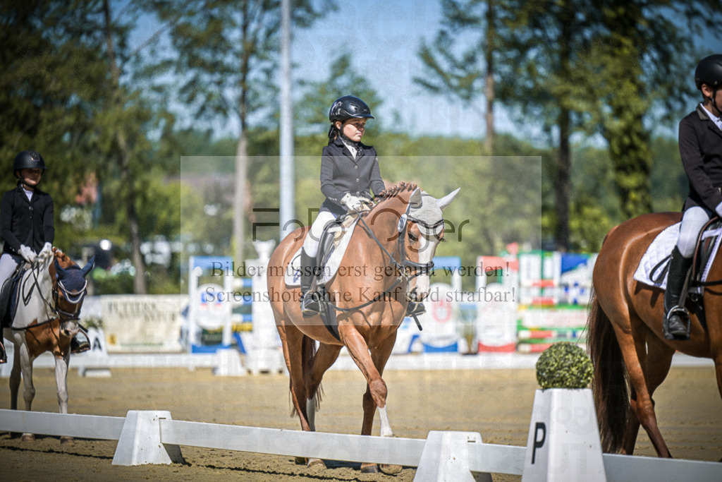 DOS_7583 | Entdecke hochwertige Reitturnierfotos von Foto Oger. Professionell, emotional und authentisch – jetzt Lieblingsmomente im Shop bestellen.Deutschlandweite Turnierfotografie. - Realisiert mit Pictrs.com