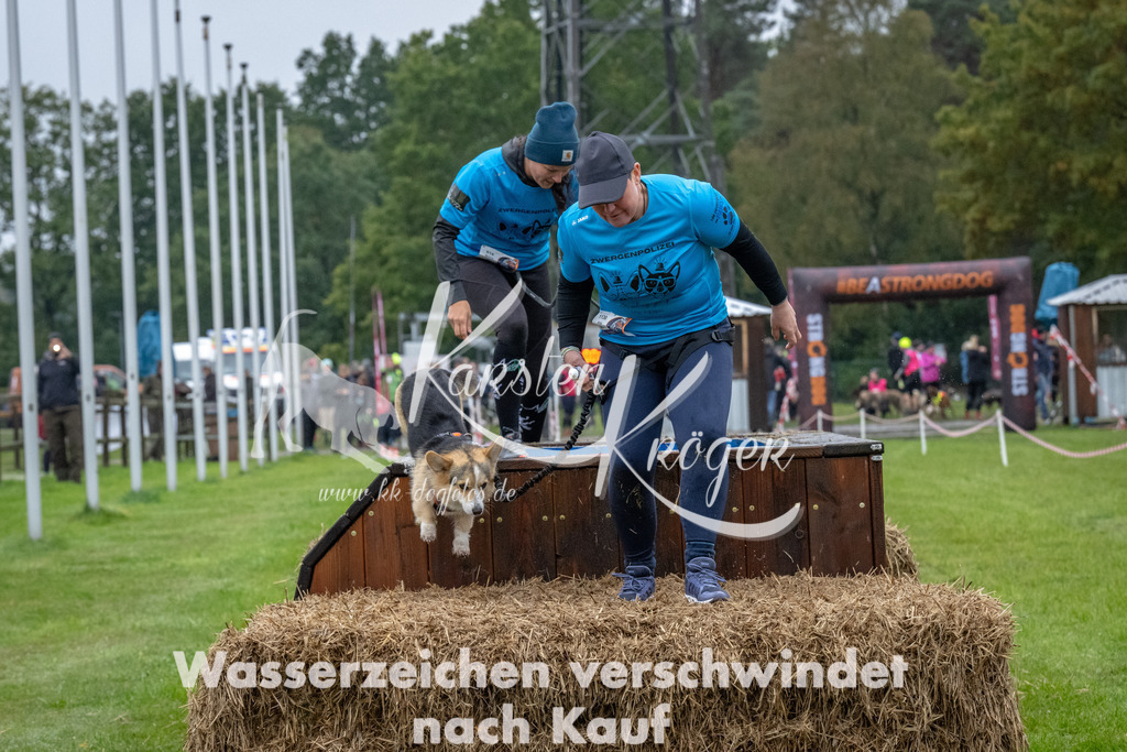 1107-93594 | kk-dogfotos