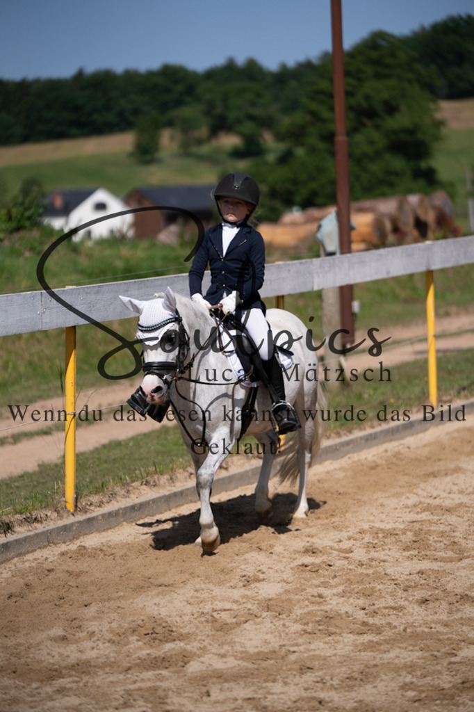 A7V07896 | Turnier/Reitfotograf