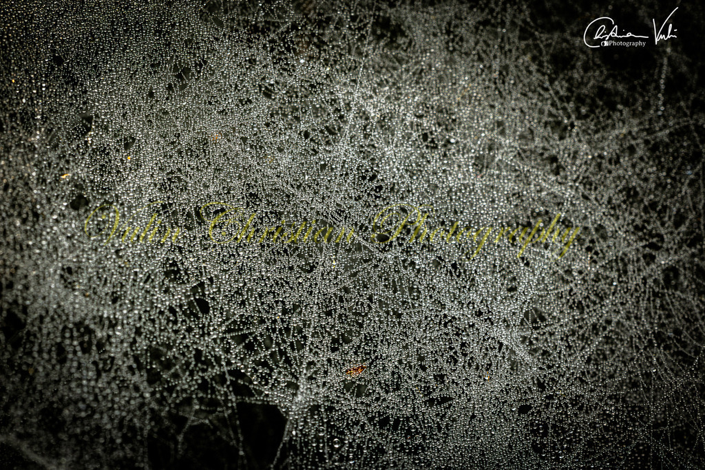 MN 21 | Christian Vulin  - Realisiert mit Pictrs.com