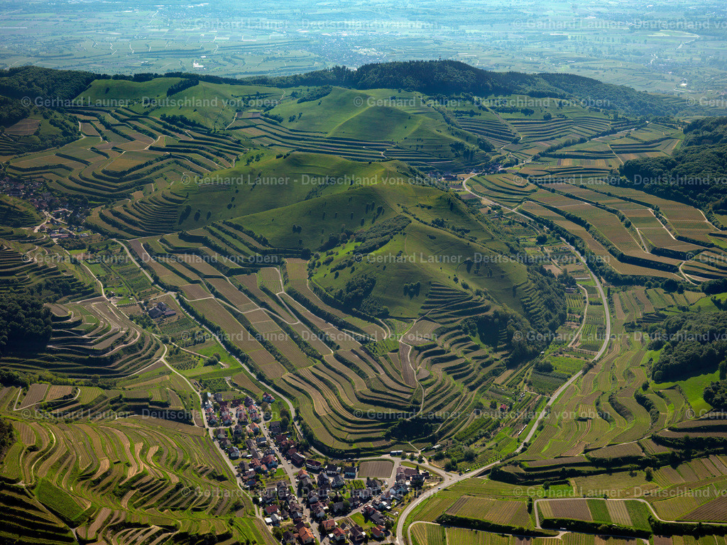 3096267 | Weinbergsterassen am Badberg, Kaiserstuhl