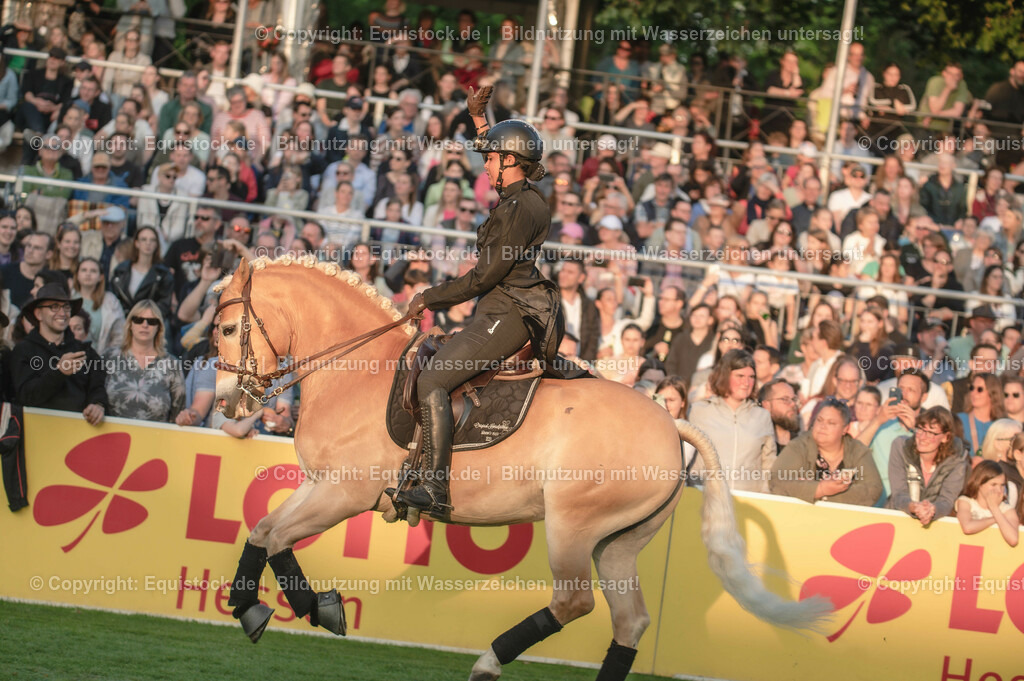 20230526_Pferdenacht_0318 | equistock
