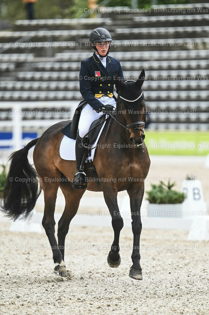 20230512_CCI4_Dressur_0054 | equistock