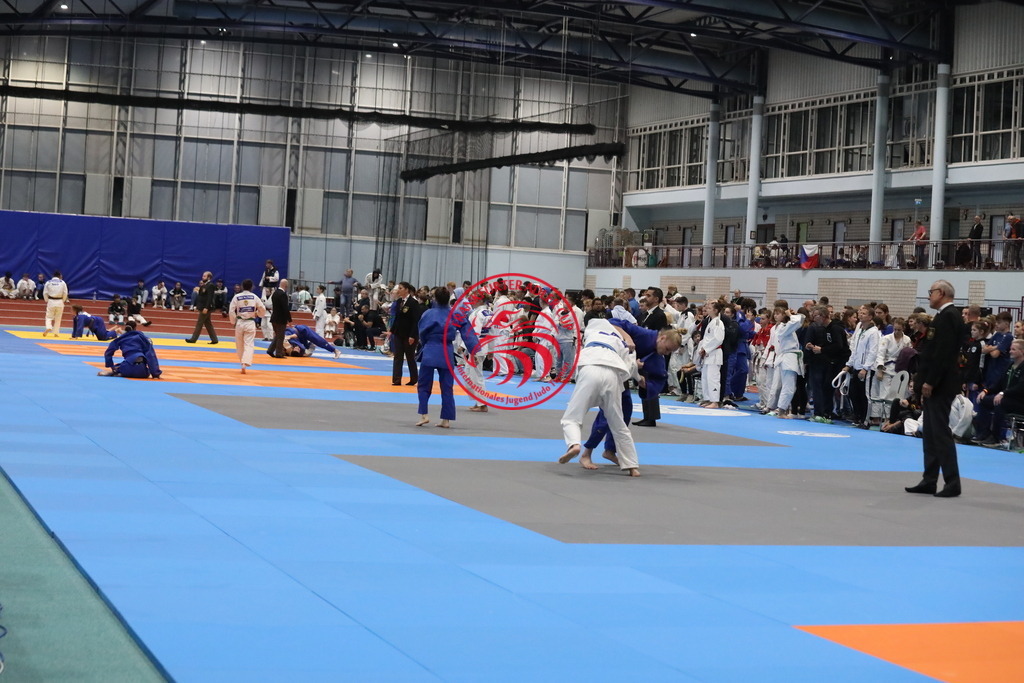 1J7A2515 | Fotos vom Adler Cup - Pictures from Adler Cup

Hier findet Ihr alle Eindrücke und großen Momente der Adler Cup Wochenenden. Here you will find all impressions and great moments of the Adler Cup weekends. - Realisiert mit Pictrs.com