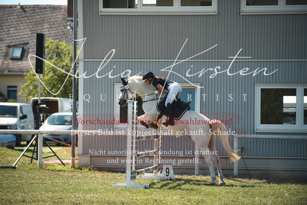 DSC_7274 | Pferde- und Turnierfotografie in Westsachsen. Pferdeportraits, Auftragszeichnungen und intuitive Kunst.