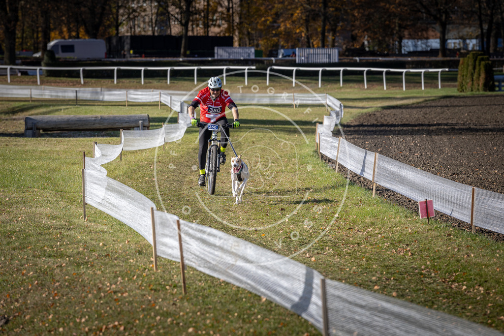 CaniXpix_DV3A7122 | Hundefotografie, Tierfotograf, Pfotenfotografie, Fotoshooting Hund, Hunde Portrait, Hundesport, Hundeportraits, Heideshooting, Hunde, Sportfotograf, Hundefotograf, Turnierhundsport, THS,  - Realisiert mit Pictrs.com