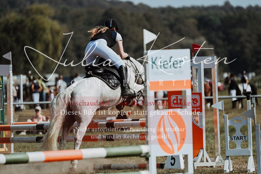 DSC_9446 | Pferde- und Turnierfotografie in Westsachsen. Pferdeportraits, Auftragszeichnungen und intuitive Kunst.
