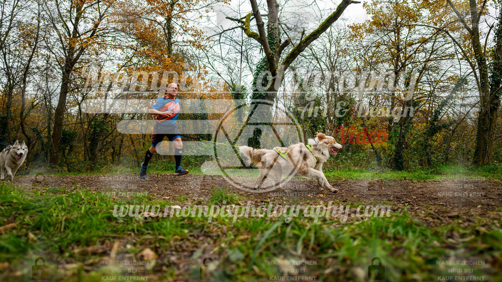 MompixPhotography_Bischwiller24_DI_CoursedeRelais-32 | PayLife