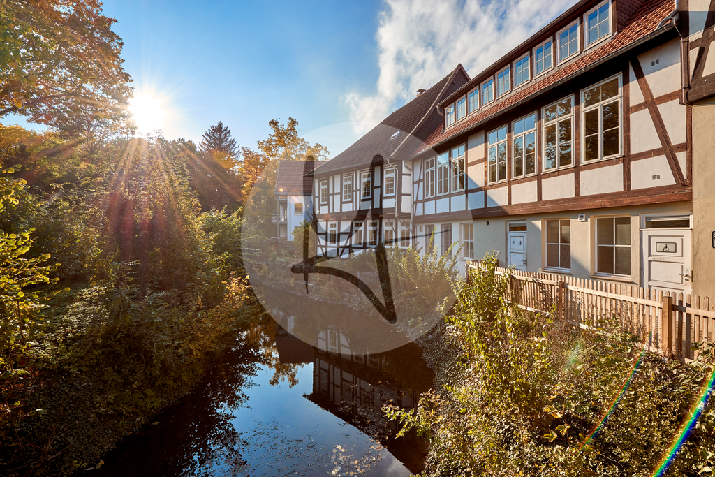 Parkanlagen im Herbst in Wolfenbüttel | Meurer Shop - Realisiert mit Pictrs.com