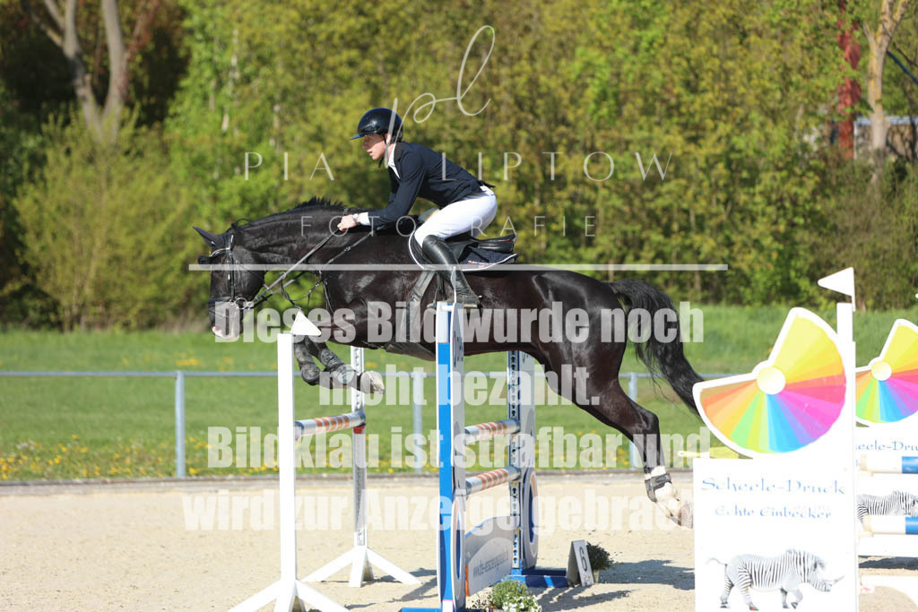 IMGM2638 | pl-fotografie
