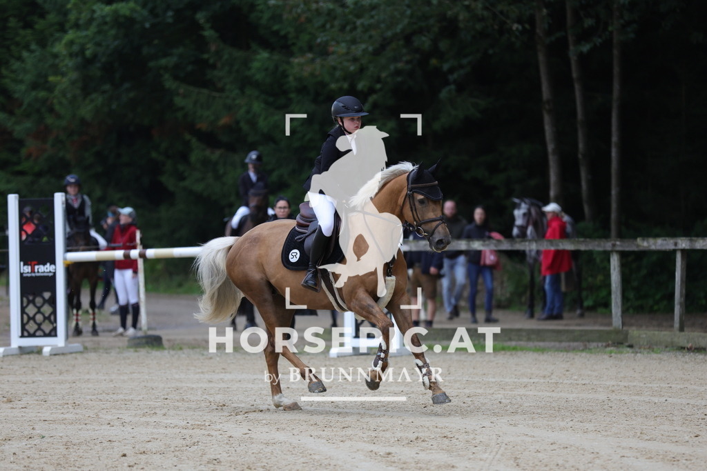 0P6A6837 | Willkommen bei Brunnmayr - Design & Fotografie – Ihrem Spezialisten für Reitturniere und Pferdeveranstaltungen in Oberösterreich, Salzburg und Bayern! Seit über 17 Jahren sind wir leidenschaftlich dabei.