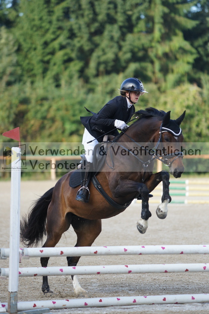 DSC06844 | equestrian-live-com