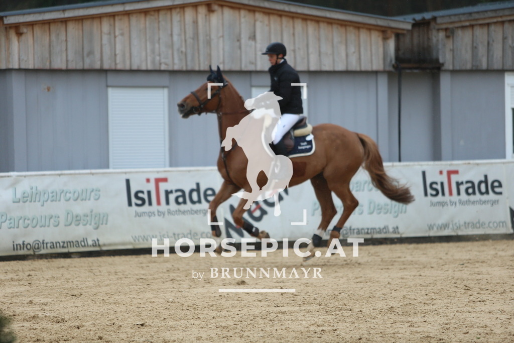 DL2Q6870 | Willkommen bei Brunnmayr - Design & Fotografie – Ihrem Spezialisten für Reitturniere und Pferdeveranstaltungen in Oberösterreich, Salzburg und Bayern! Seit über 17 Jahren sind wir leidenschaftlich dabei.