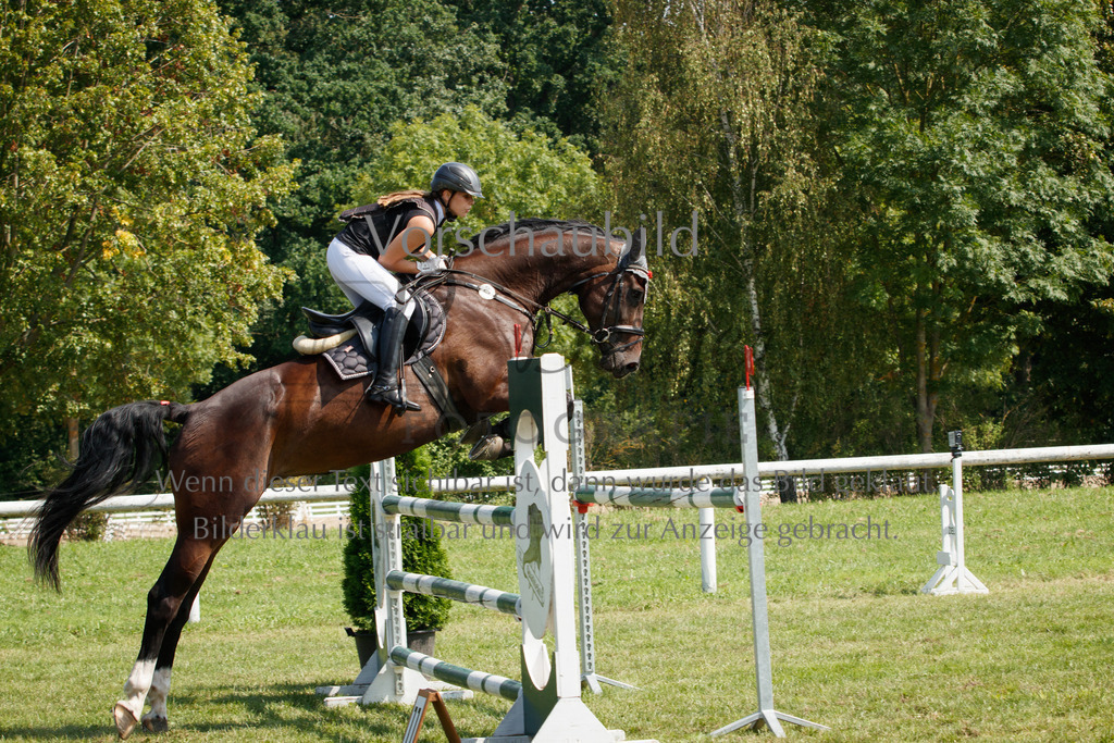 IMG_3549 | P. Berger Fotografie - Realisiert mit Pictrs.com