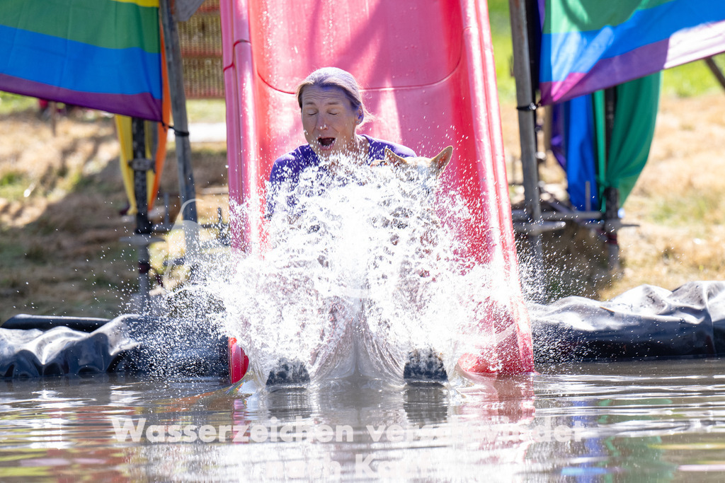 1416_ZZ94113 | kk-dogfotos