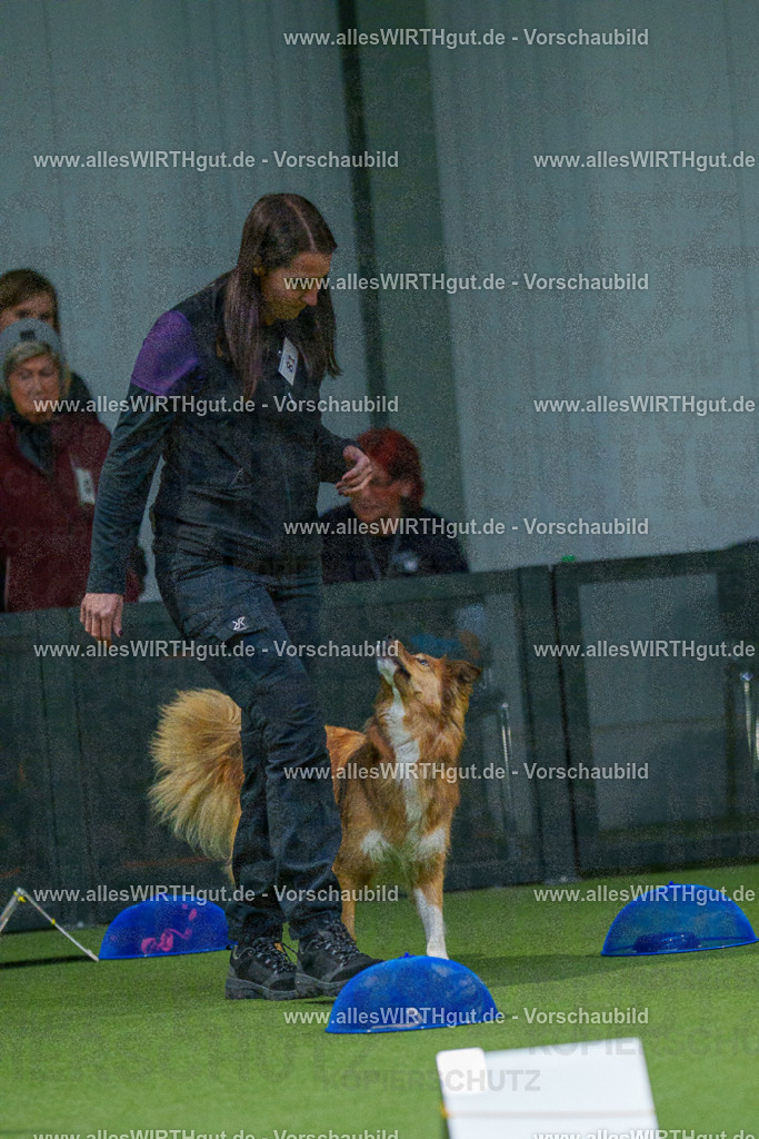 7R507710 | Professionelle Tierfotografie in Mönchengladbach von Daniel Wirth (allesWIRTHgut). Liebevolle & natürliche Bilder von Hunden & Katzen für unvergessliche Erinnerungen.