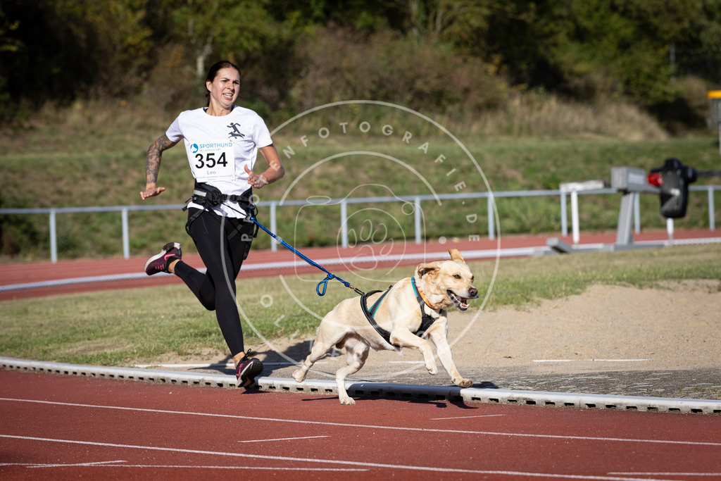 Pfotenfotografie_DV3A9868 | Hundefotografie, Tierfotograf, Pfotenfotografie, Fotoshooting Hund, Hunde Portrait, Hundesport, Hundeportraits, Heideshooting, Hunde, Sportfotograf, Hundefotograf, Turnierhundsport, THS,  - Realisiert mit Pictrs.com