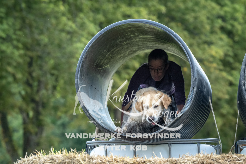1035_ZZ92523 | kk-dogfotos