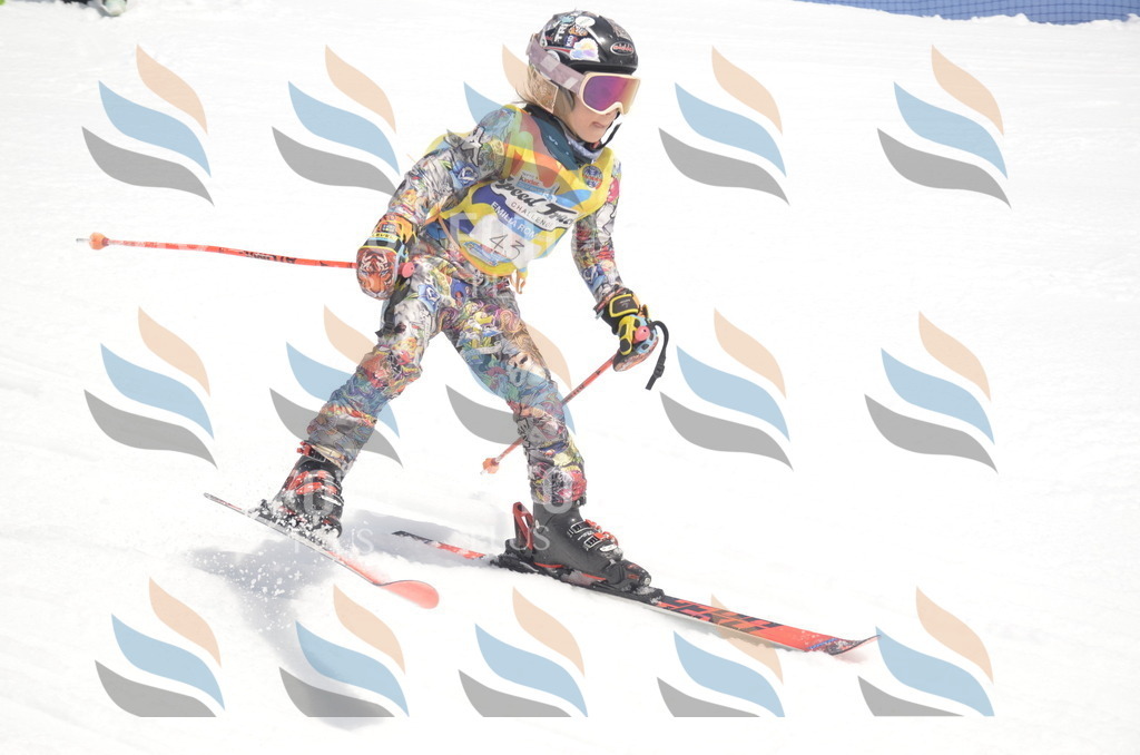 _ELE8735 | holidayphoto