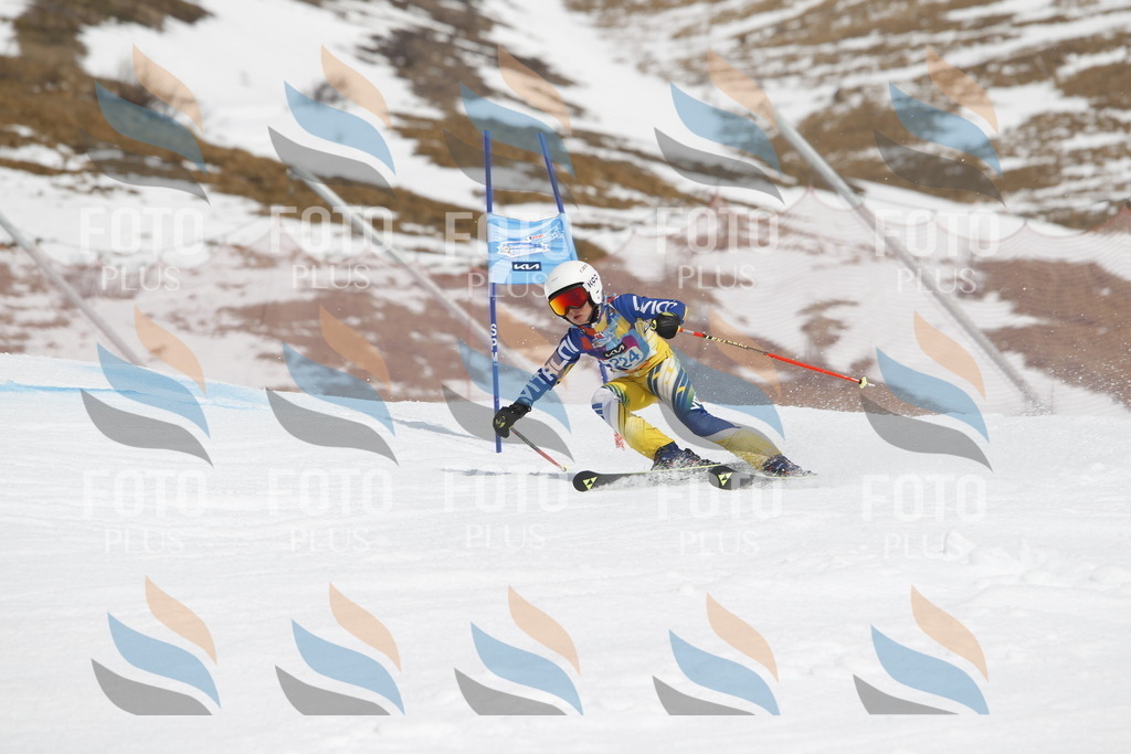 _U3G2436 | holidayphoto