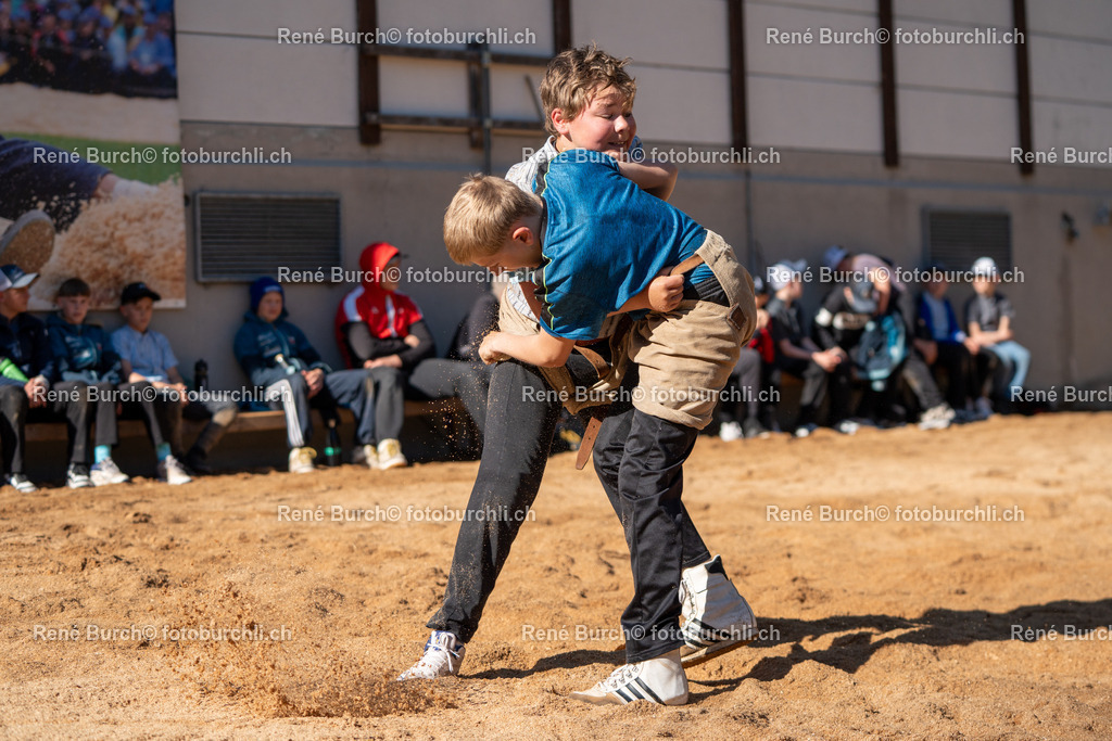 RB_06645-2 | René Burch leidenschaftlicher Fotograf aus Kerns in Obwalden.  Hier finden sie Sport, Landschaft und Natur Fotografie.
 - Realisiert mit Pictrs.com