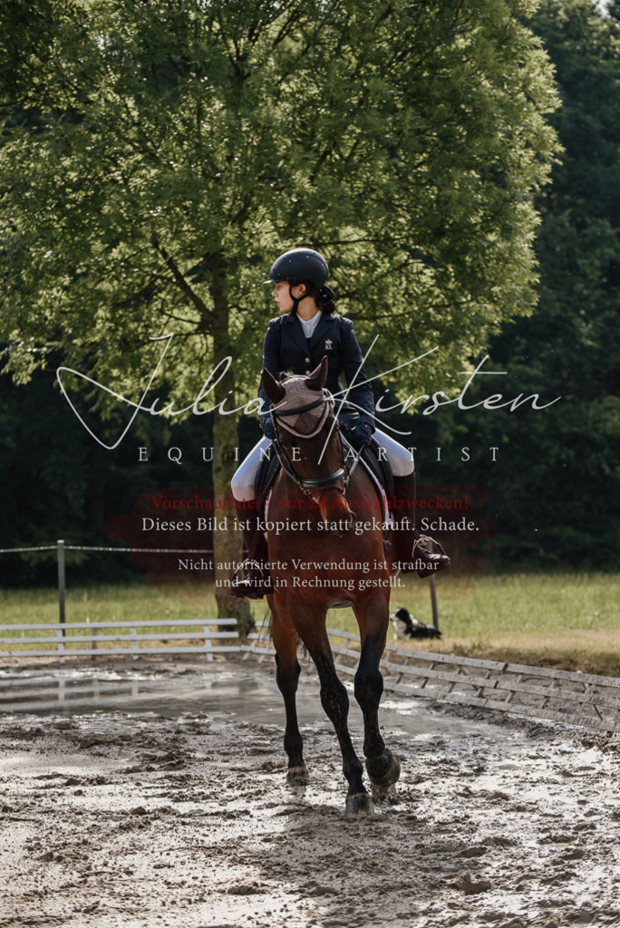 DSC_8547 | Pferde- und Turnierfotografie in Westsachsen. Pferdeportraits, Auftragszeichnungen und intuitive Kunst.