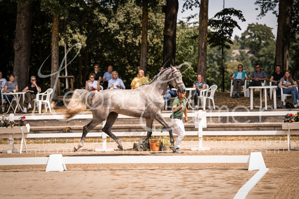 1.Fr00022 | Leoni Ertmer Photography - Realisiert mit Pictrs.com