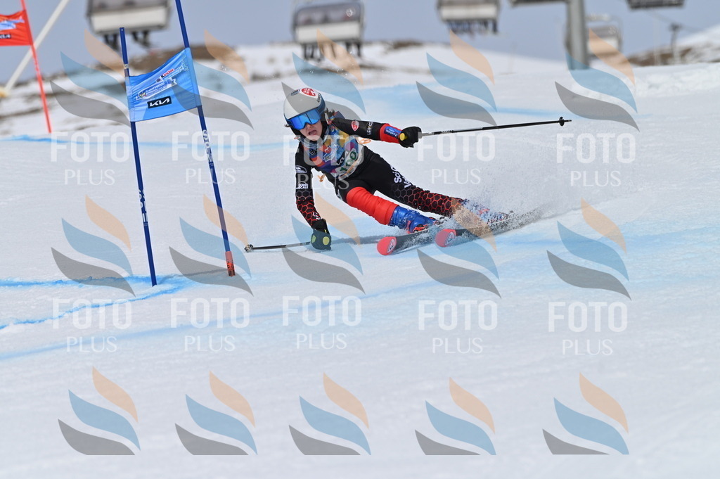 BGV_3810 | holidayphoto