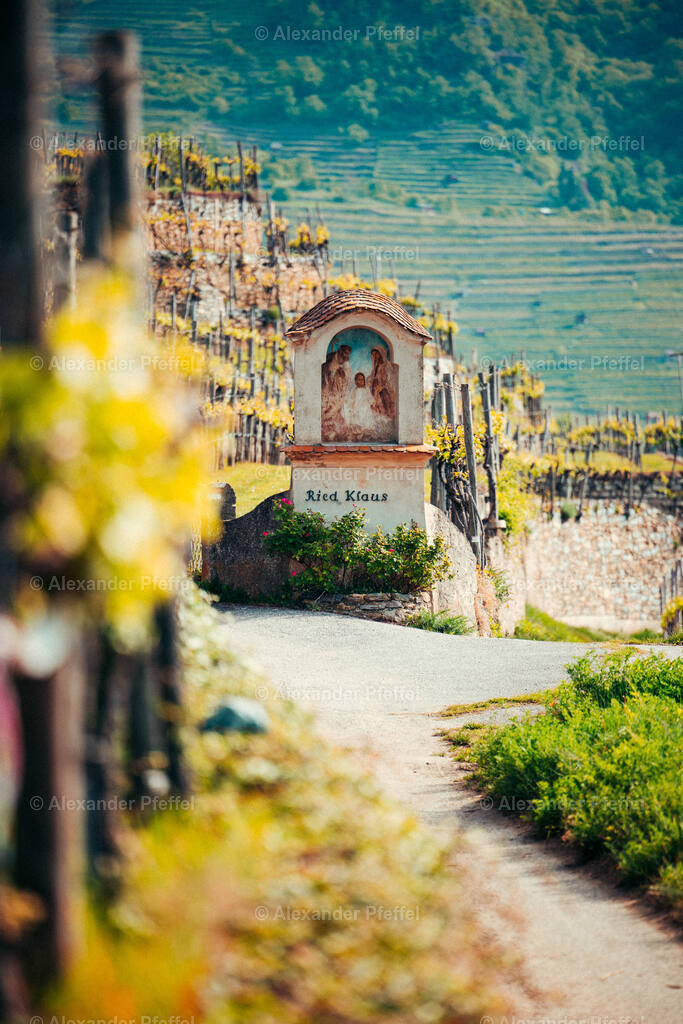 foto_c_pfeffel-partner-0199-R52_2360 | alexander-pfeffel - Realisiert mit Pictrs.com