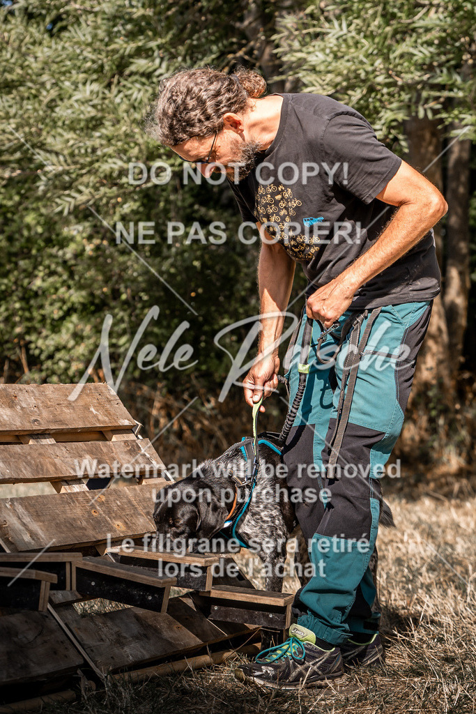 nelerasche_slaw24So_290 | nelerasche - Realisiert mit Pictrs.com