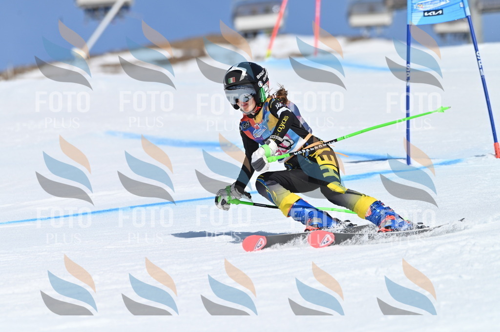 BGV_9319 | holidayphoto