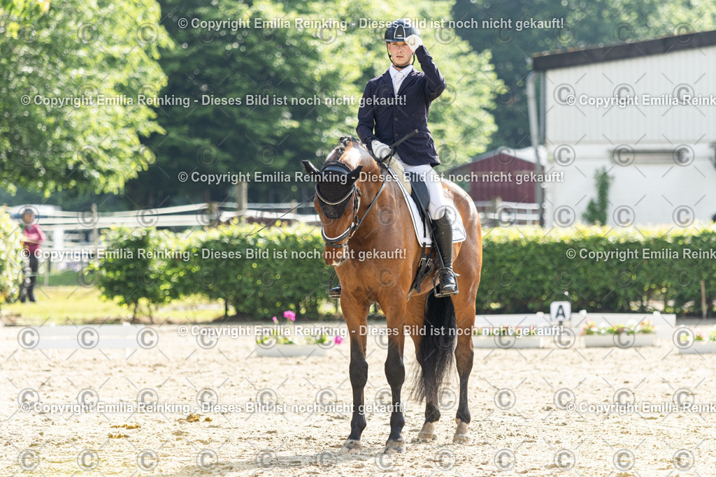 CL5A4115 | Emilia Reinking Fotografie - Realisiert mit Pictrs.com