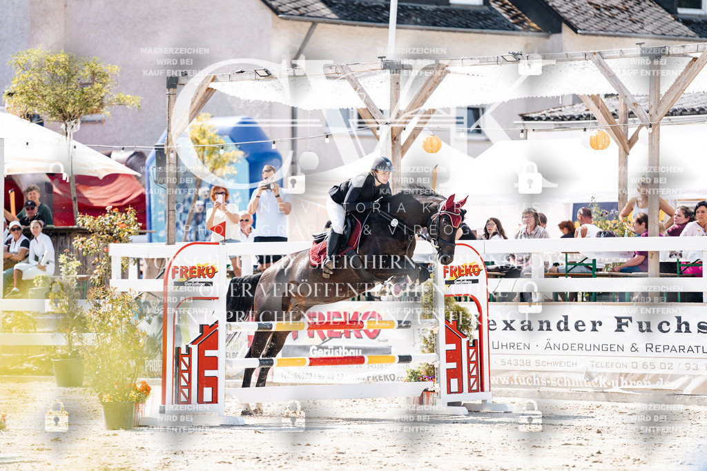 CK908795 | Turnierfotografie Pferdefotografie Trier Rheinland-Pfalz Pferdesport Reitsport Tierfotografie Sportfotografie Pferdevideo Pferdevideografie Equestrianvideography equestrianphotography  - Realisiert mit Pictrs.com