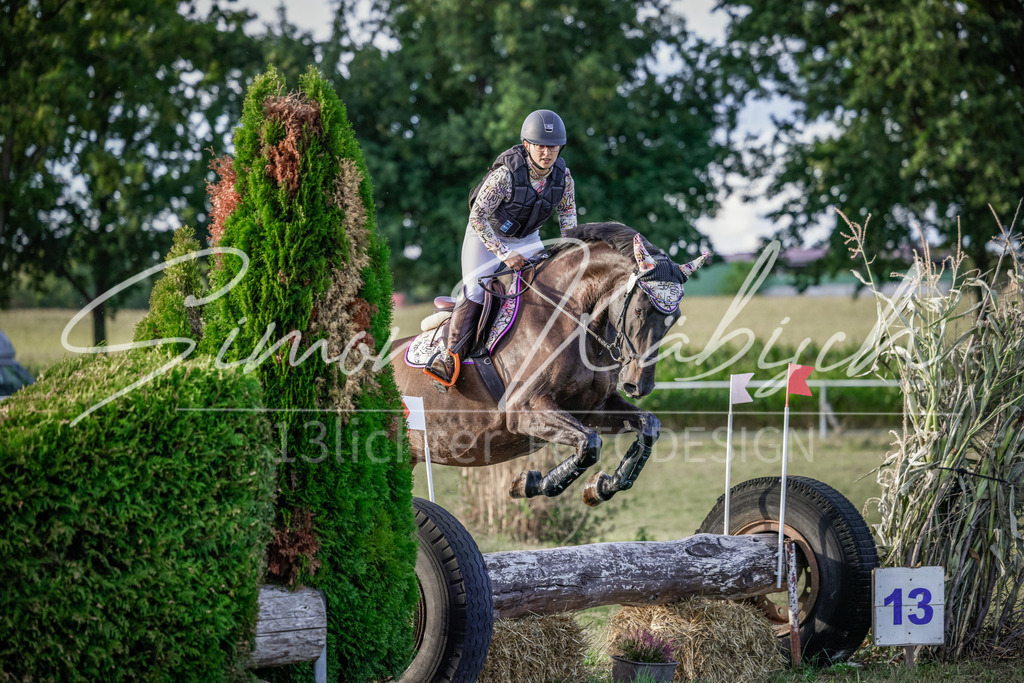 20250906-_3LI7937 | Tierfotografie Pferde, Hunde, Katzen, Haustiere.
Turnierfotografie Reitturniere, Reiten, Springreiten, Dressur in Hanau, dem Main-Kinzig-Kreis und dem Rhein-Main- Gebiet um Frankfurt