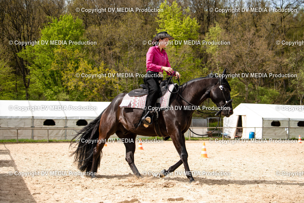 Heiligenwald Tag 1-765 | dv-media-shop - Realisiert mit Pictrs.com