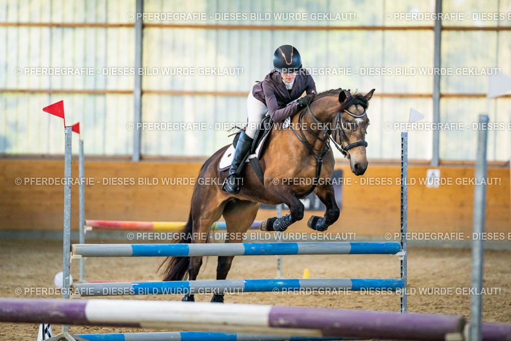 DSC00582 | Pferdegrafie