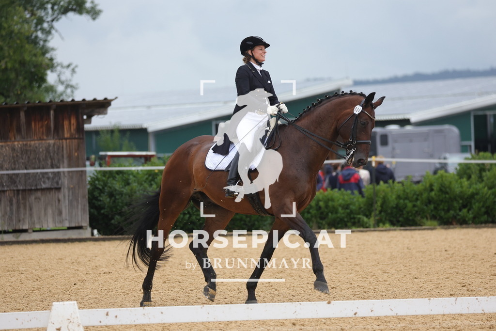 0P6A1535 | Willkommen bei Brunnmayr - Design & Fotografie – Ihrem Spezialisten für Reitturniere und Pferdeveranstaltungen in Oberösterreich, Salzburg und Bayern! Seit über 17 Jahren sind wir leidenschaftlich dabei.