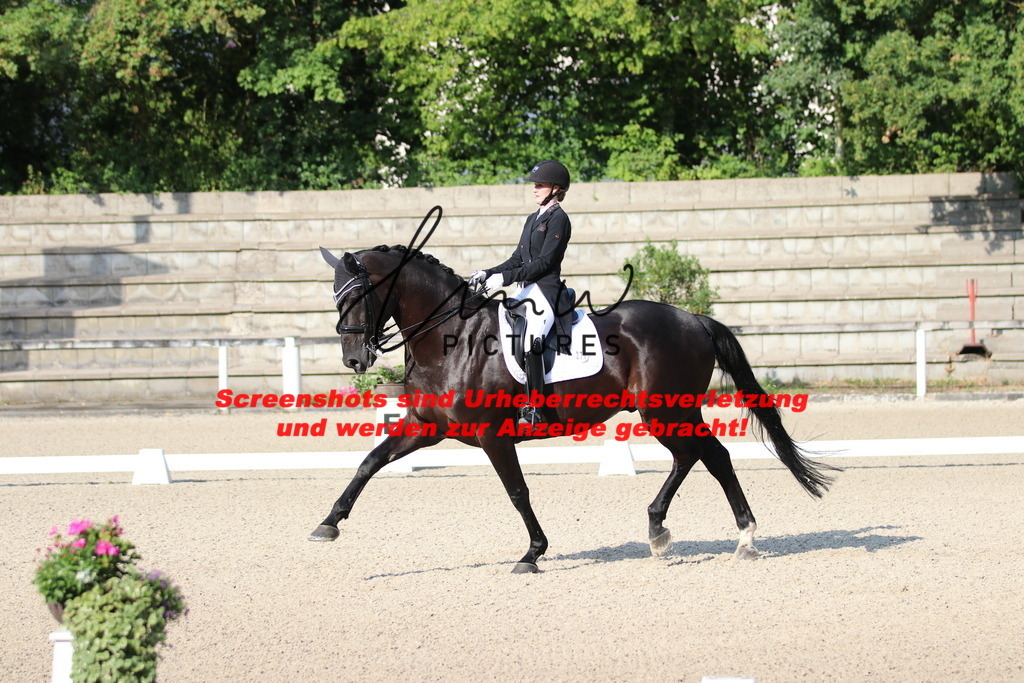 IMG_8800 | lmwpictures - Realisiert mit Pictrs.com