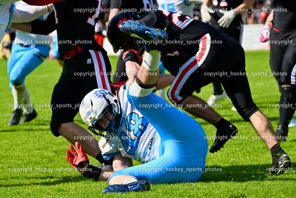Carinthian Lions vs. Styrian Bears | Carinthian Lions vs. Styrian Bears, Carinthian Lions vs. Styrian Bears am 20.05.2024 in Klagenfurt (ASV Sportplatz), Austria, (Photo by Bernd Stefan)