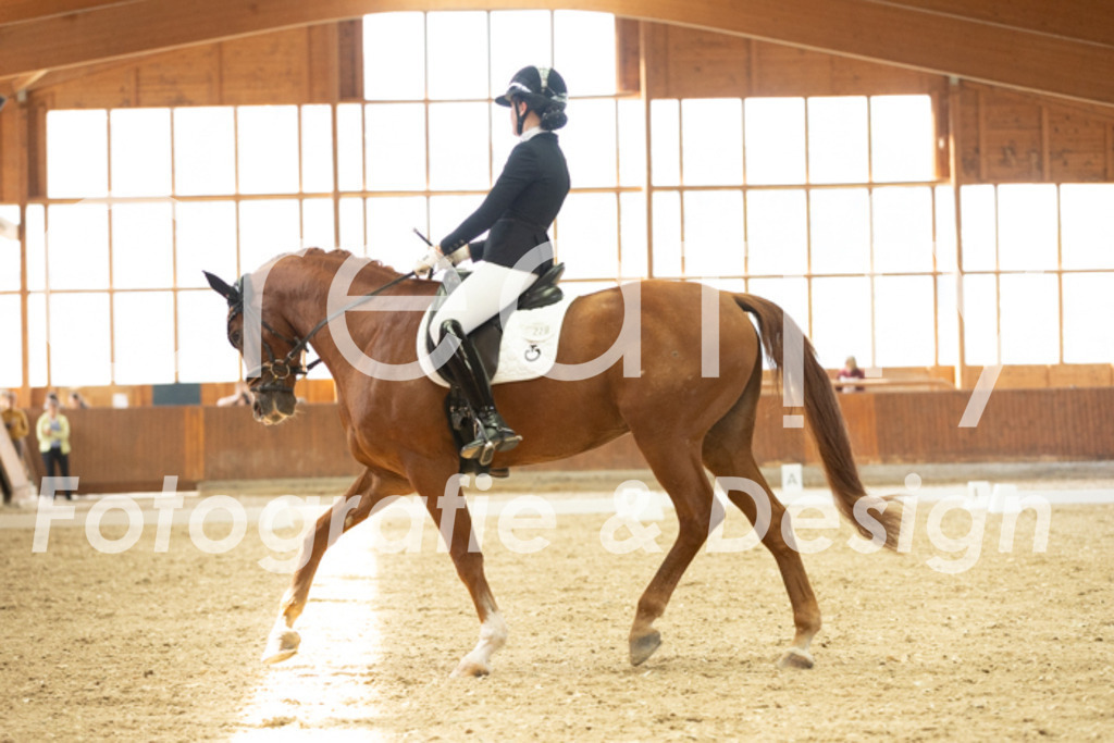 IMG_2123 | Creatify Fotografie