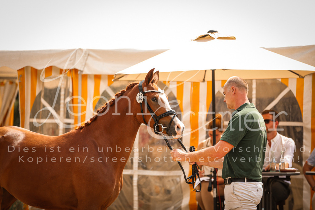 11.So00064 | Leoni Ertmer Photography - Realisiert mit Pictrs.com