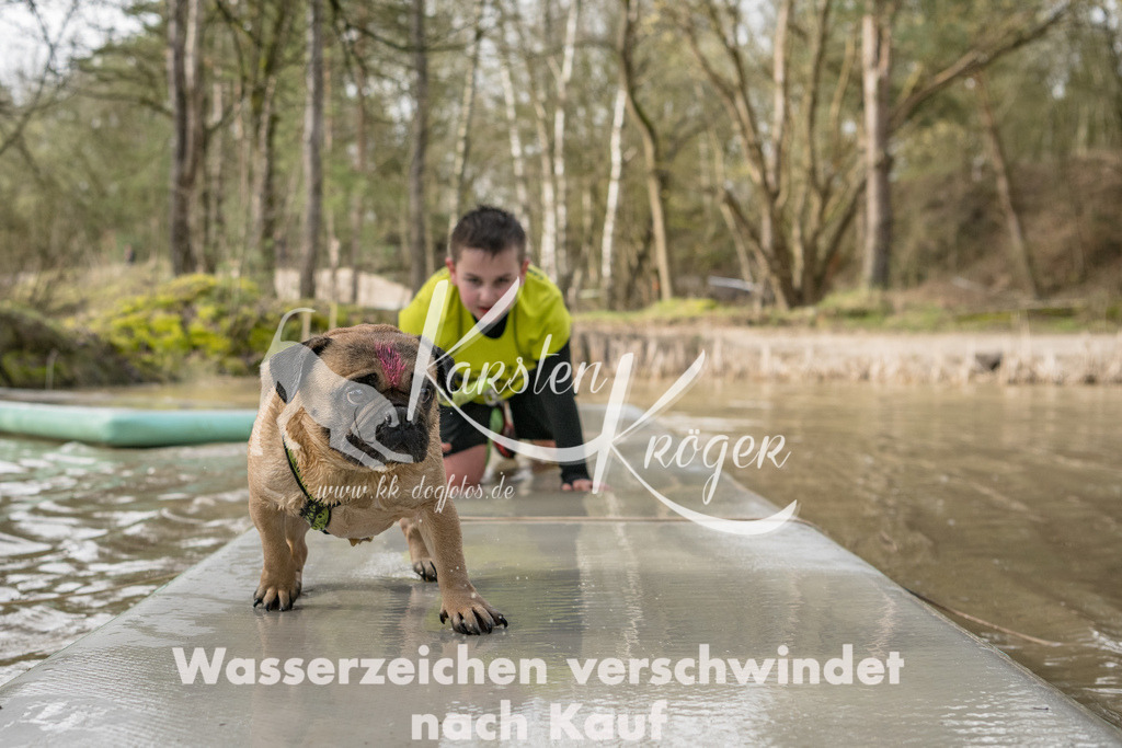 1006_ZZ92537 | kk-dogfotos