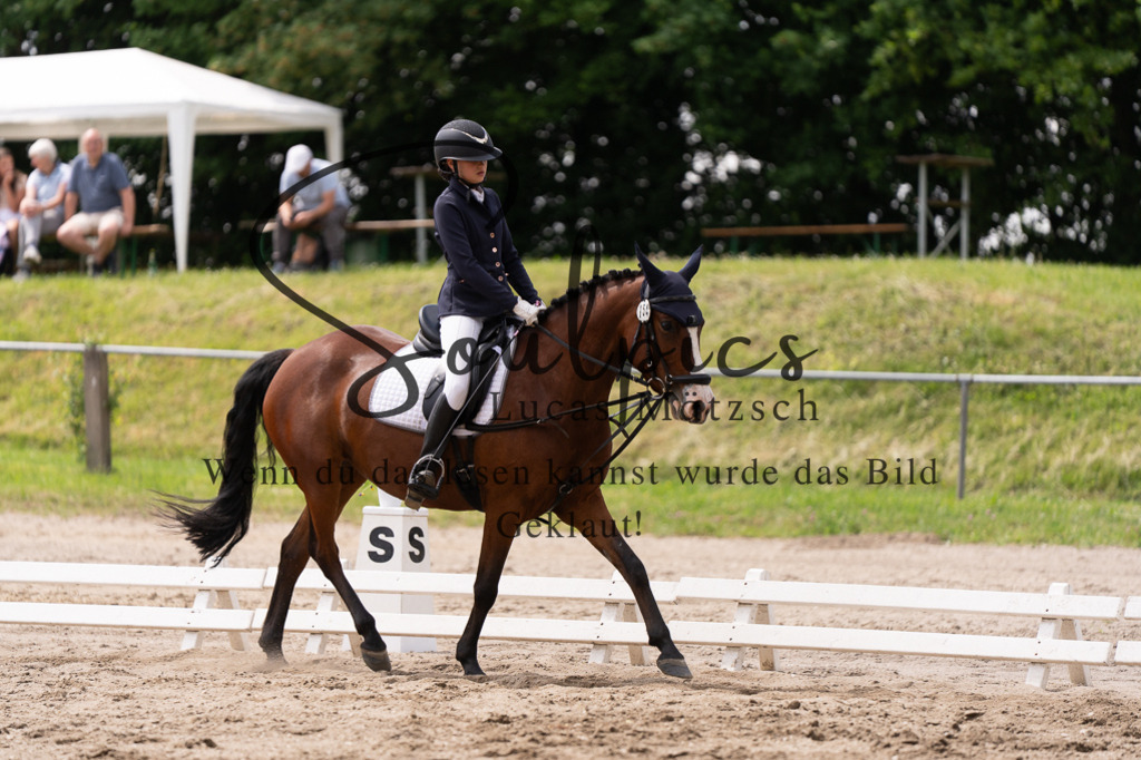 A7506004 | Turnier/Reitfotograf