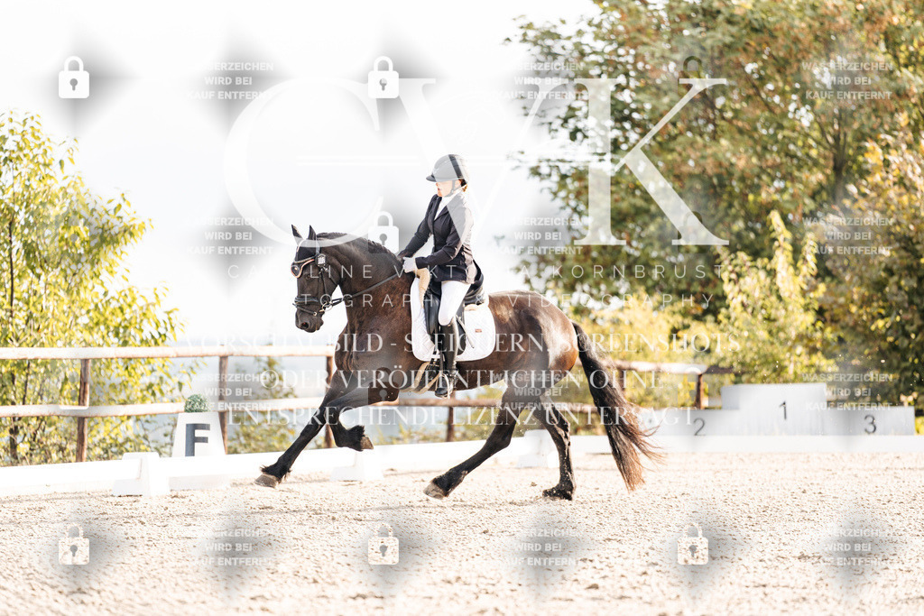 CK900342 | Turnierfotografie Pferdefotografie Trier Rheinland-Pfalz Pferdesport Reitsport Tierfotografie Sportfotografie Pferdevideo Pferdevideografie Equestrianvideography equestrianphotography  - Realisiert mit Pictrs.com
