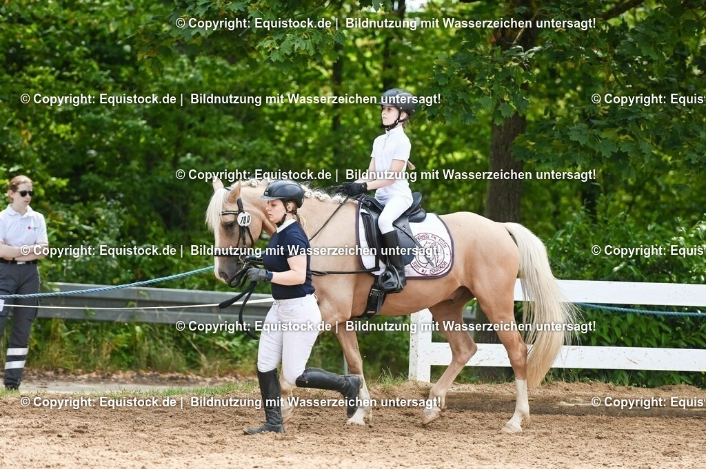 20230716_11_Führzügel-WB_0078 | equistock