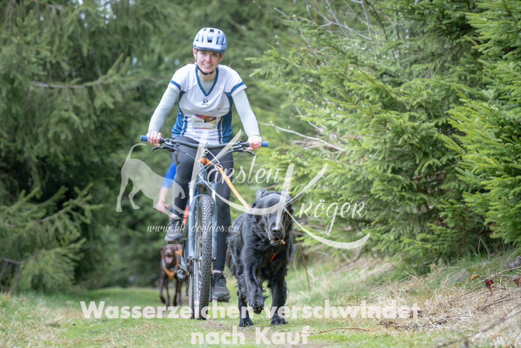 1312_ZZ93984 | kk-dogfotos