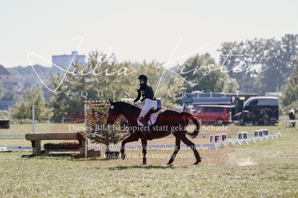 DSC_3533 | Pferde- und Turnierfotografie in Westsachsen. Pferdeportraits, Auftragszeichnungen und intuitive Kunst.