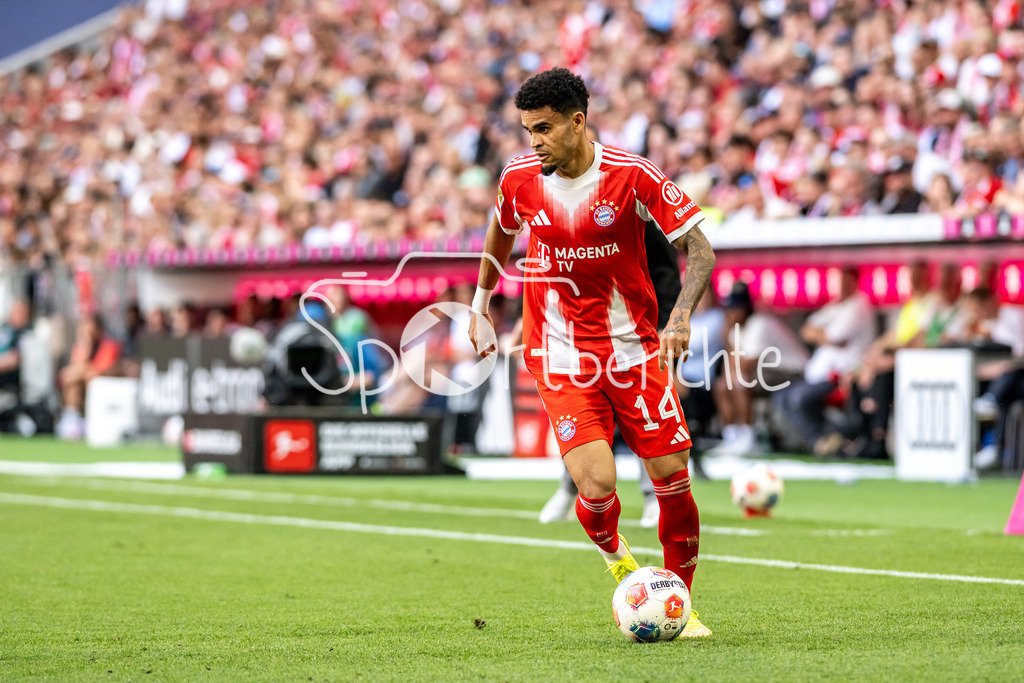 FC Bayern München - 1. FC Heidenheim | MUNICH, GERMANY - 02. MAI: am Ball Luis DIAZ (FC Bayern Munich 14) / Einzelfoto / Freisteller während dem Bundesligamatch zwischen dem FC Bayern München und dem 1. FC Heidenheim am 32. Spieltag in der Allianz Arena / DFL REGULATIONS PROHIBIT ANY USE OF PHOTOGRAPHS AS IMAGE SEQUENCES AND/OR QUASI-VIDEO
