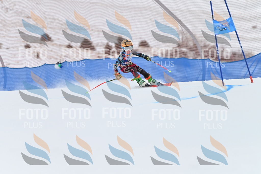 BGV_9787 | holidayphoto