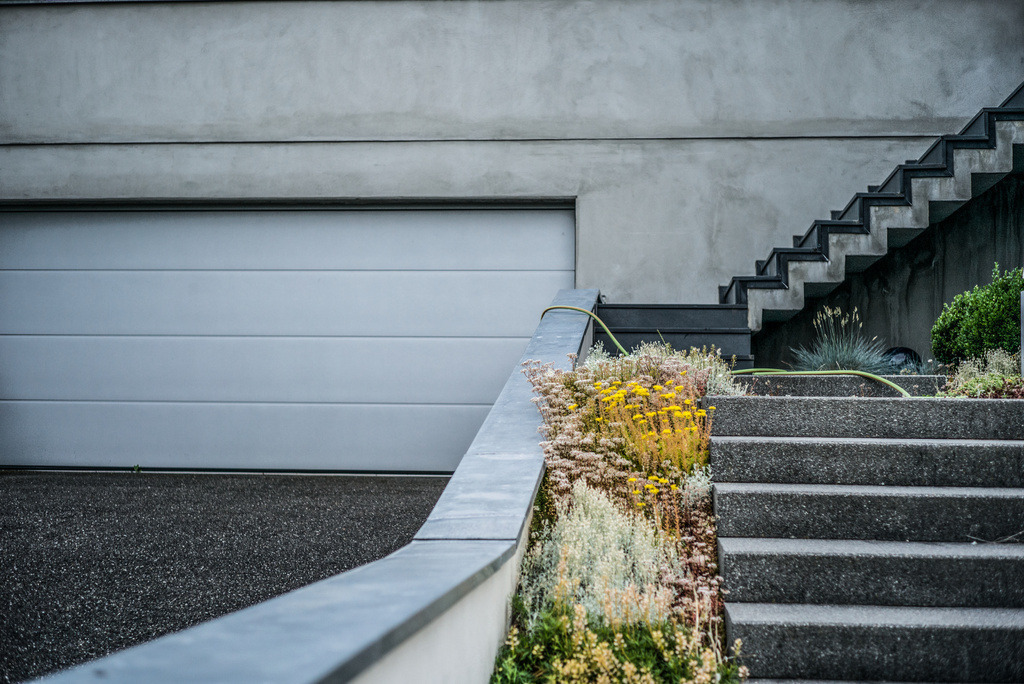 SN 26 | Ralph Driever - Fotograf - Realisiert mit Pictrs.com